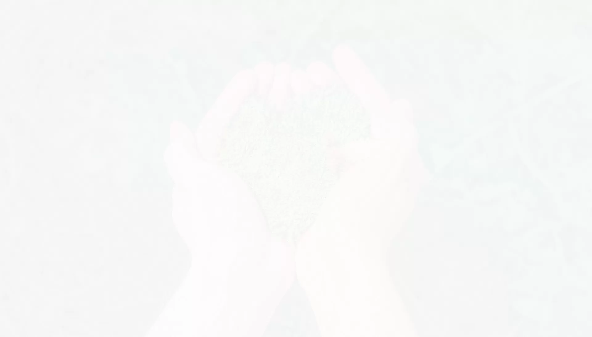 Soft-Label-Sicherheits etikett