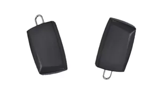 T218 Schmuckwächter-Tag